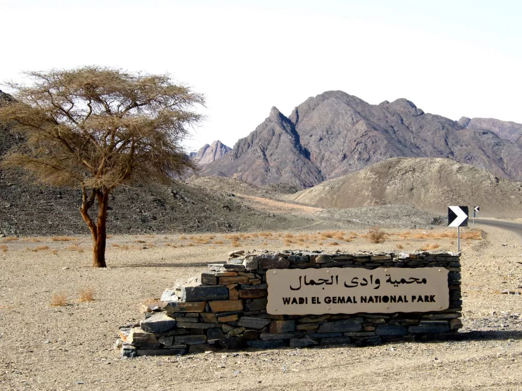 Wadi El Gemal National Park