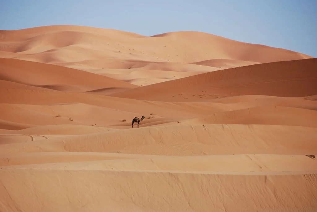 White Desert National Park Egypt