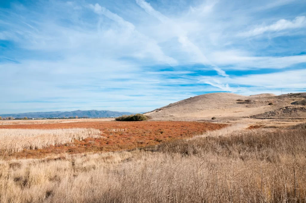 Coyote Hills Regional Park