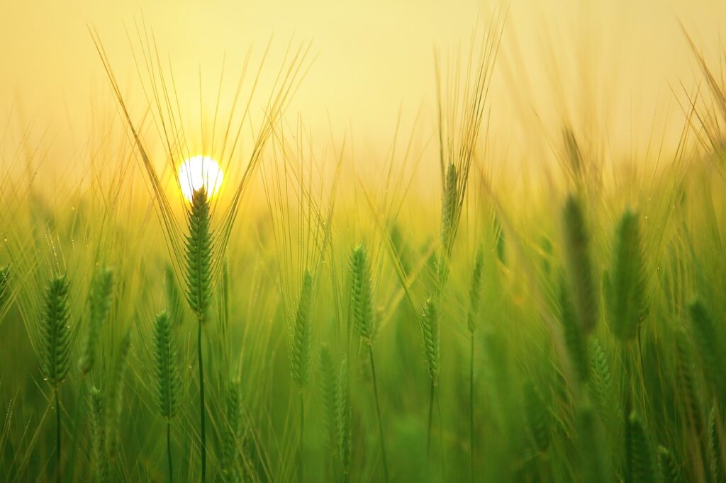 Agricultural