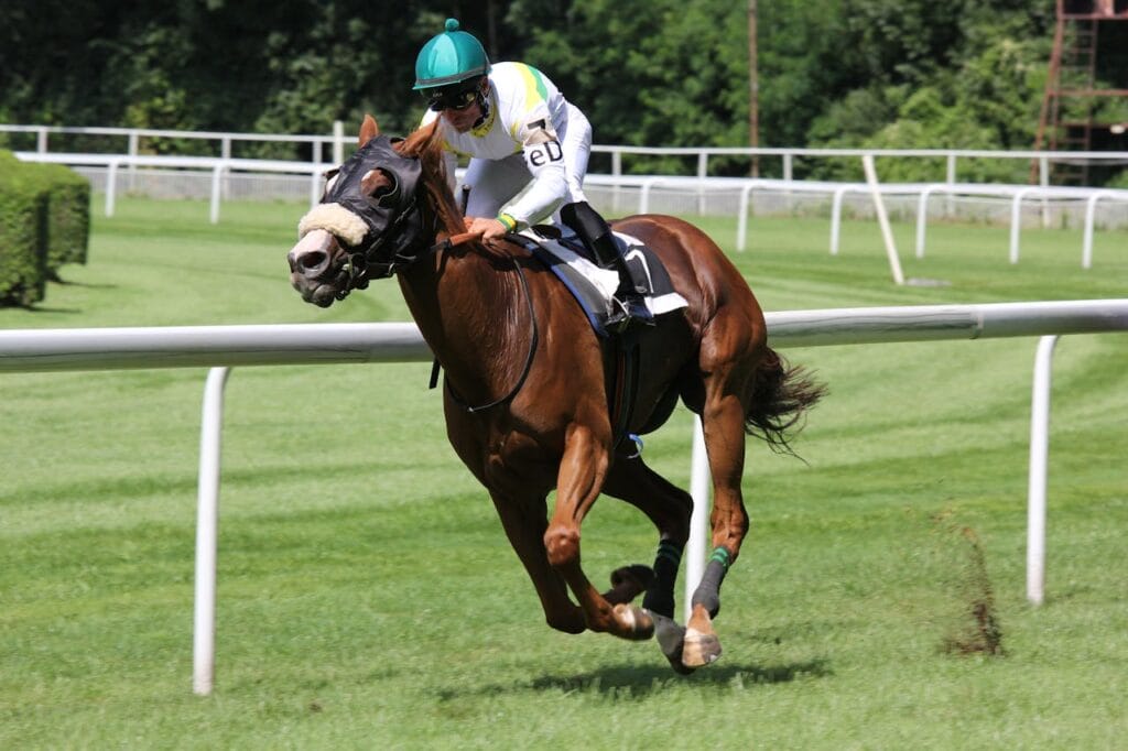 The Kentucky Derby