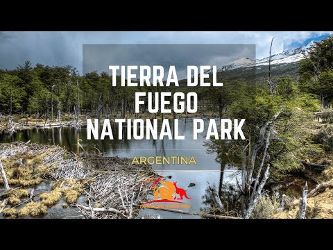Tierra del Fuego National Park: A Great Journey into the Heart of Patagonia’s Pristine Wilderness