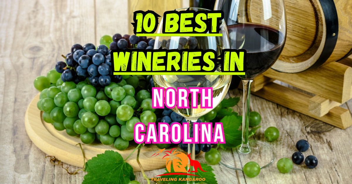 Best wineries in North Carolina