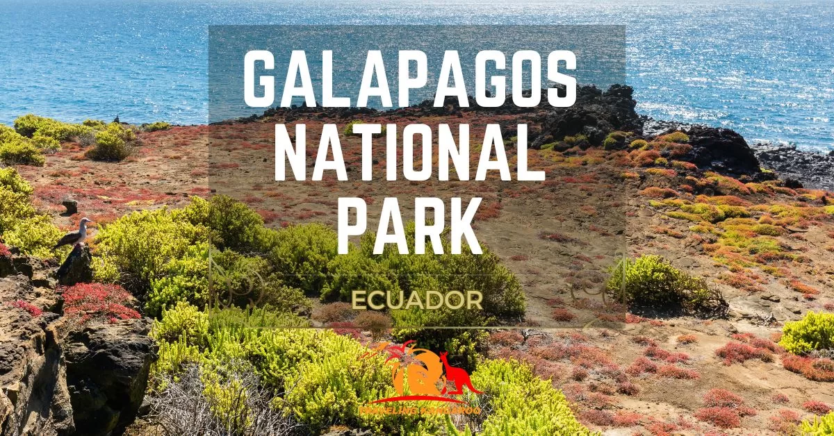 Fascinating Galapagos National Park - Traveling Kangaroo